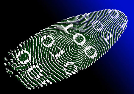 Tecnologia Biometrica. Imagen de PublicDomainPictures-Pixabay